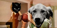What Does It Mean to Be a Black Cat Girlfriend?