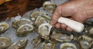 2 more people dead after eating Louisiana oysters infected with flesh