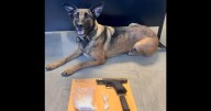 They were stopped on the Thruway. Now two Amsterdam residents face gun and drug charges, police say