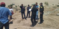 Municipalidad de Pocollay retira cerca de 400 árboles plantados en las faldas del cerro Arunta