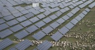 China rushes to build out solar, and emissions edge downward