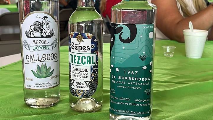 Condiciones de seguridad todavía no son óptimas: Mezcaleros de Michoacán