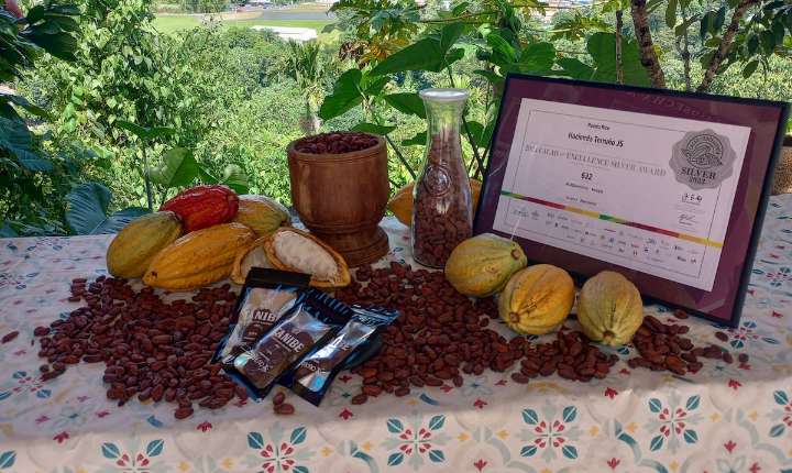 Móntate en la dulce aventura de recorrer la ‘Ruta del Cacao’ en Puerto Rico