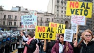 La Justicia declaró inválido el veto presidencial a la Ley de Emergencia en Discapacidad