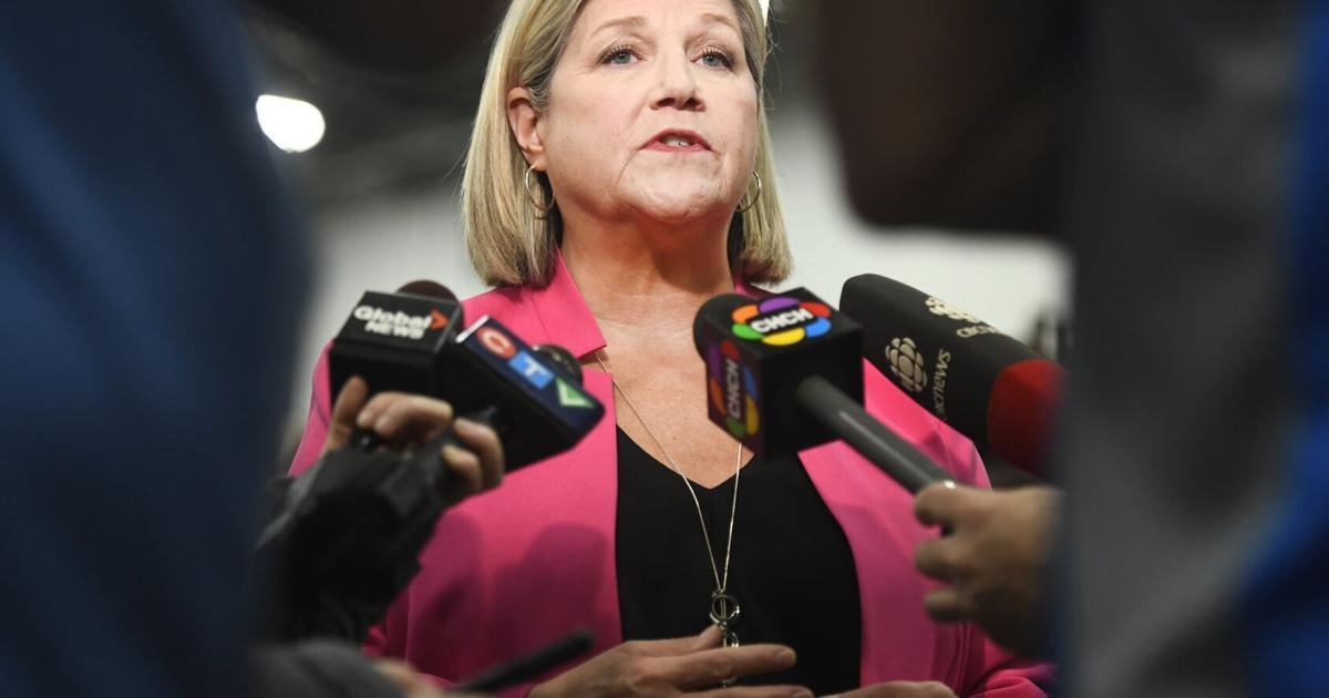 Hamilton Mayor Andrea Horwath plans community safety summit