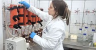 Chile patenta microorganismos que extraen cobalto de relaves mineros y busca convertirse en segundo productor mundial del metal
