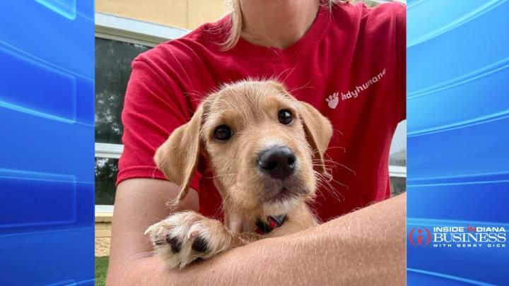 Elanco bolsters parvovirus treatment with new approval