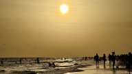 Vibrio vulnificus Florida cases rise to 23, with 5 deaths reported