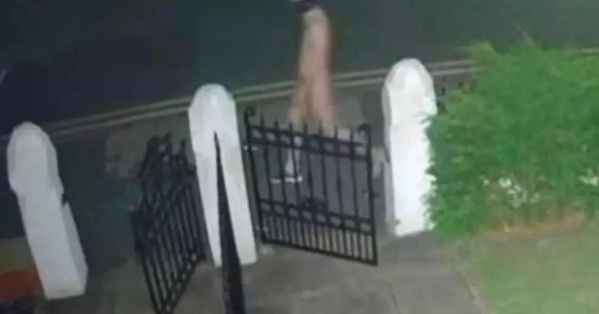 Homeowner who captured naked man on CCTV speaks out