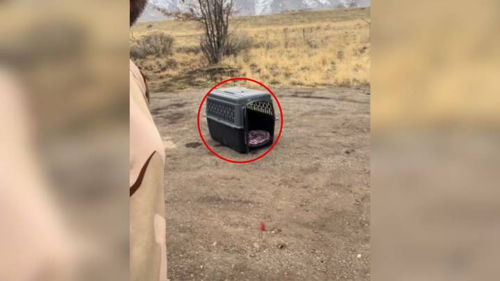 Utah Man Rescues Dog Left Abandoned On Roadside After Seeing Video Online