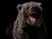 Bitcoin Tumbles Back Below $110K as Crypto Bounce Fails, Ether Plunges 8%