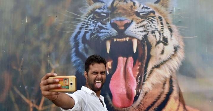 Don't let a selfie be the end of you