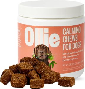 Vets Say These Are the Most Effective Calming Treats for Dogs with Anxiety