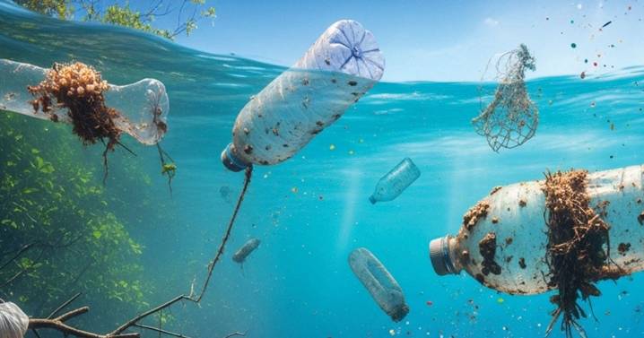 Fracasa plan contra polución de plástico; urgen a enfrentar desafío