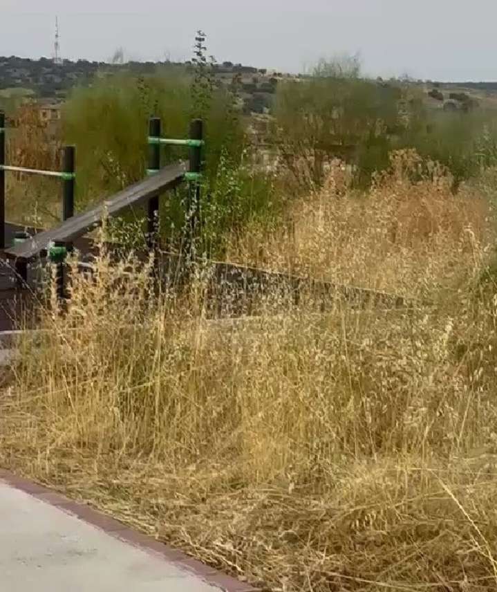 PSOE denuncia el estado de los espacios deportivos en La Legua