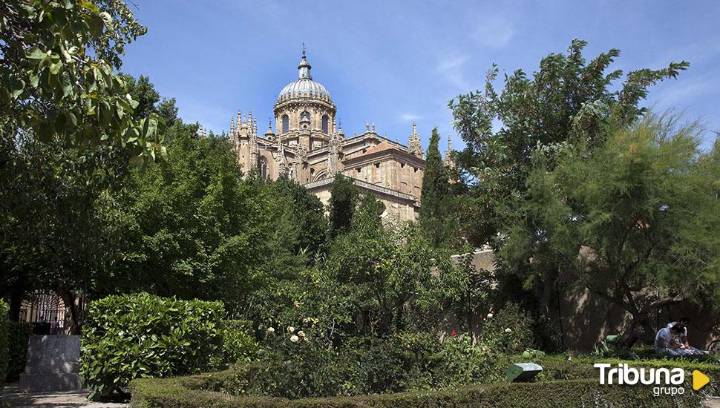 Salamanca tiene un árbol por cada vecino… y en otoño llegarán 32.000 más