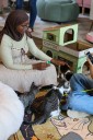 'The Purrfect Bean' cat café opens in Richmond