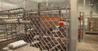 Hearing to fight legal ‘black hole’ for detainees held at ‘Alligator Alcatraz’ underway in federal court