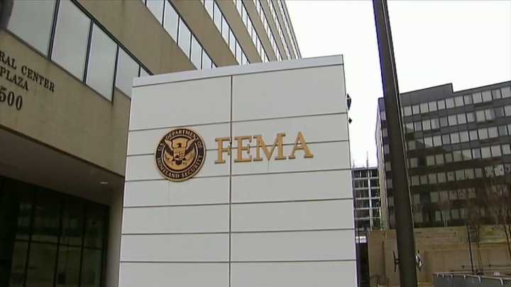 Some FEMA staff are put on leave after signing dissent letter 
