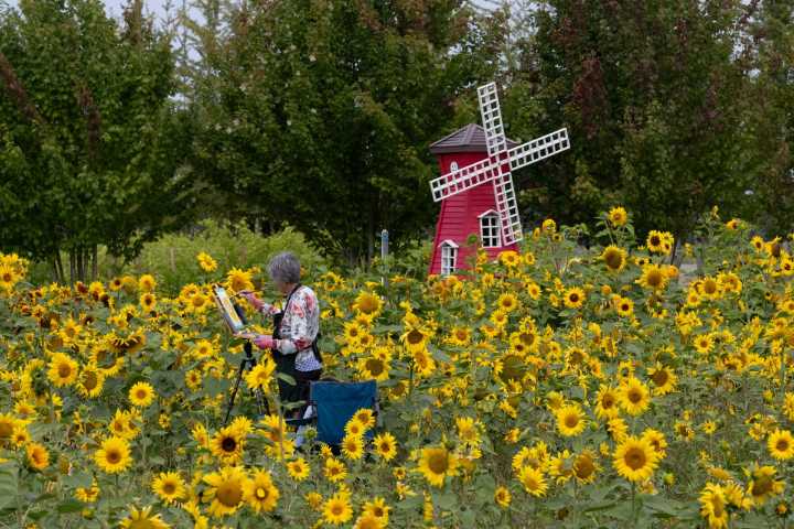 Richmond BC latest news, weather, photo on Friday, Aug 8