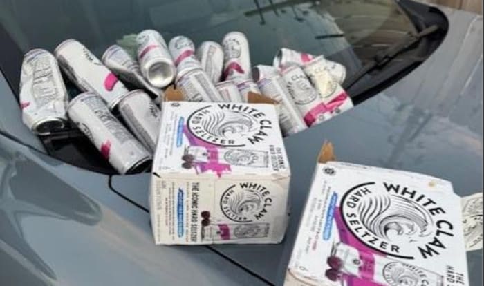 Mother arrested after 18 alcohol cans found in car as she drove with child