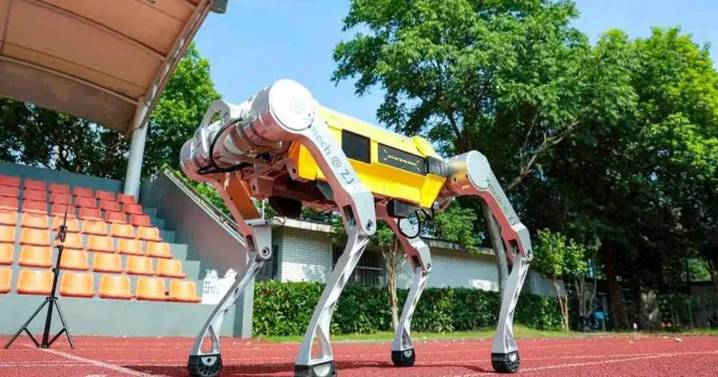 Un robot cuadrúpedo chino estableció el récord Guinness en 100 metros lisos: “En el camino correcto”