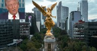 Brugada responde a las declaraciones de Donald Trump sobre la CDMX: ¿qué dijo la Jefa de Gobierno?