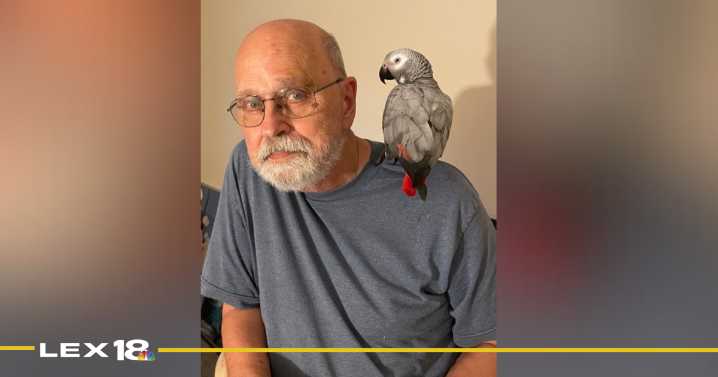 Lexington man seeks community's help to find missing pet parrot