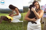 Couple Surprises Wedding Guests with Rescue Puppies to Encourage Adoption (Exclusive)