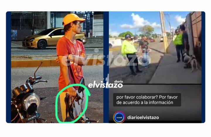 Solicitan al alcalde Pedro Martínez atender caso de sujeto con problemas mentales dedicado a maltratar mascotas
