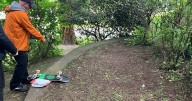 Archaeologists to dig up Scotland's first ever skate park that is 'lost in time'