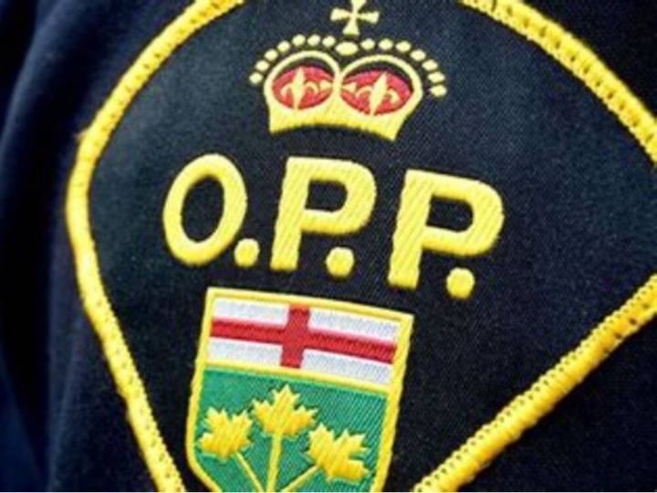 Tay Valley man faces list of partner violence charges