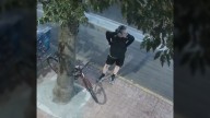 VicPD shares CCTV footage of suspect in synagogue vandalism investigation