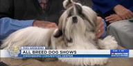 All Breed AKC Dog Show 2025 kicks off in Owensboro