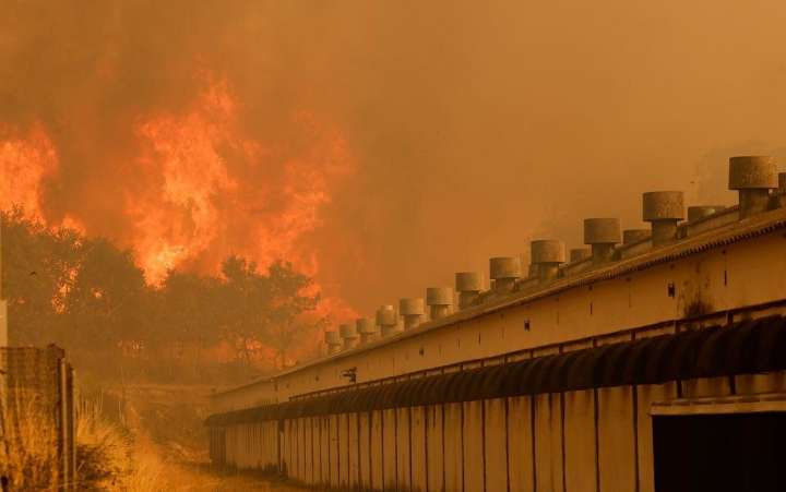 Al menos seis muertos por incendios históricos en España y Portugal