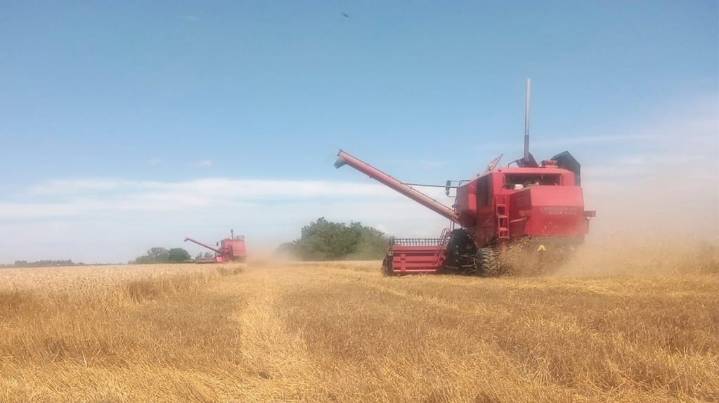 Con lo que pagó de retenciones podría haberse comprado otro campo: el cálculo de un productor que se hizo viral