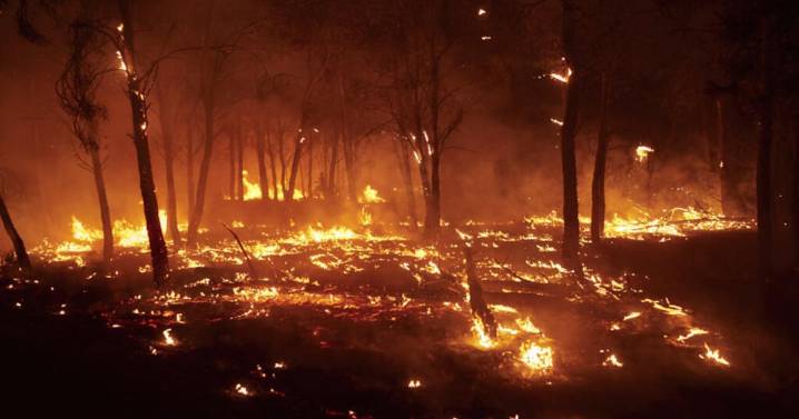 Ola de calor e incendios forestales dejan muertos y obligan a desalojar a miles de personas en España