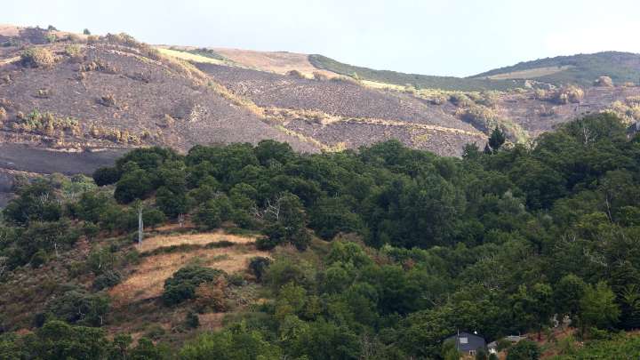 Nueva jornada de mejoría en los incendios: bajan a ocho los fuegos graves en León, Palencia y Zamora