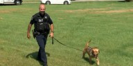 2-year-old boy located by after multi-agency search in Allen County