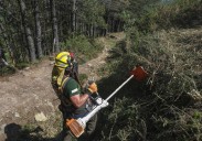 El Ministerio se niega a activar a la BRIF de Ruente y los bomberos explotan: «Es una vergüenza»