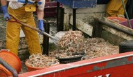 Slidell diners eating authentic shrimp | New Orleans CityBusiness