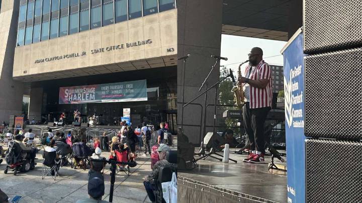 Harlem Summerstage brings soul to Harlem Week