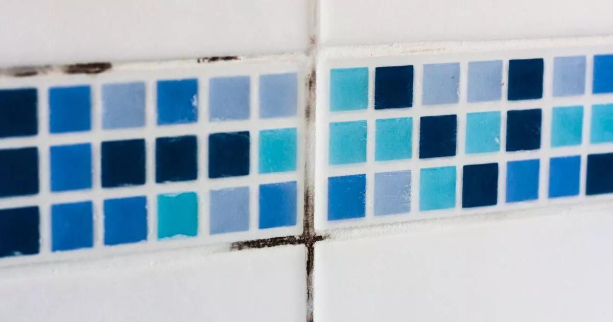 Prevent mould growth by keeping bathroom at 'magic' temperature this autumn