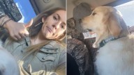Woman Returns To Alaska After A Month And Faces A Surprising Response From Her Friend’s Dog
