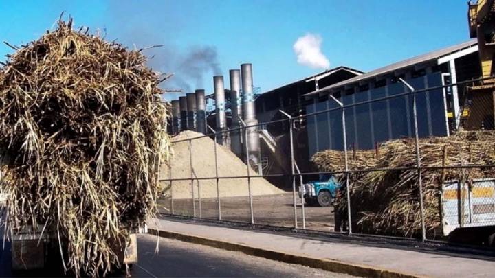 Financiará El Molino pago del IMSS para 700 cañeros