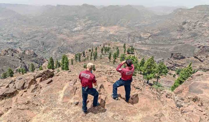 Tenerife, Gran Canaria, La Palma y La Gomera extreman medidas ante la alerta máxima de calor e incendios