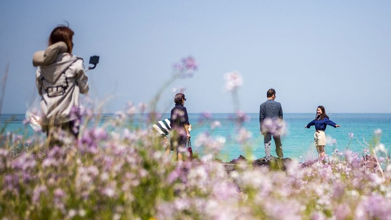 Jeju, the ‘Hawaii of South Korea,’ issues guidelines aimed at misbehaving foreign visitors
