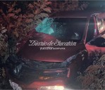 Leñador muere al ser embestido por un auto en la vía Temax