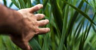 Hot Georgia summers can lead to spikes in depression, experts say