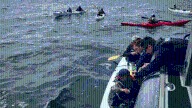 12 kayakers, including 6 children, rescued in San Juan Islands